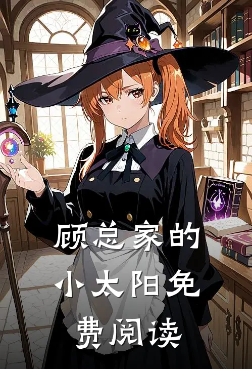 顾总家的小太阳免费阅读